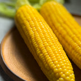 特別栽培 ほしつぶコーン10本(送料無料)