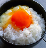 5本まとめ買いセット(10%OFF)