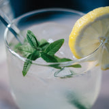 やさしいシロップ Lemon Verbena