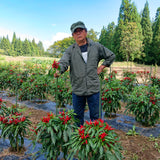 【徳用】だし入り魚沼南蛮(50g)